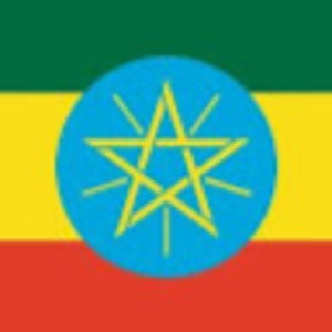 Meet your Posher, Brett